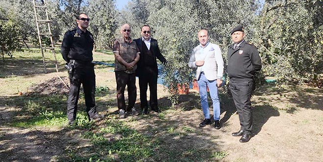 Zeytin hasadına kaymakamdan destek