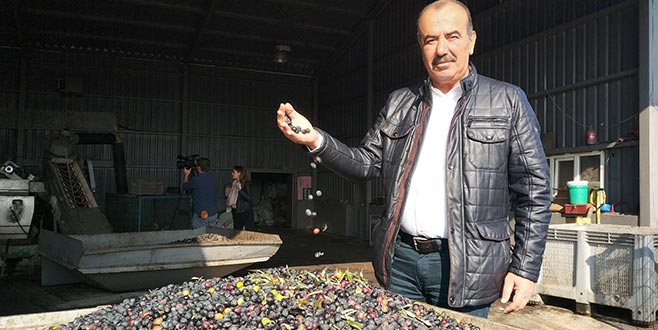 Topraktan halka zeytinyağı paylaşımı Topraktan halka zeytinyağı paylaşımı