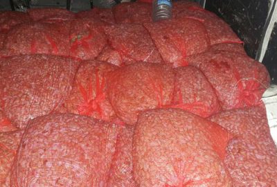 Bursa Jandarması’ndan operasyon: 2 ton ele geçirildi