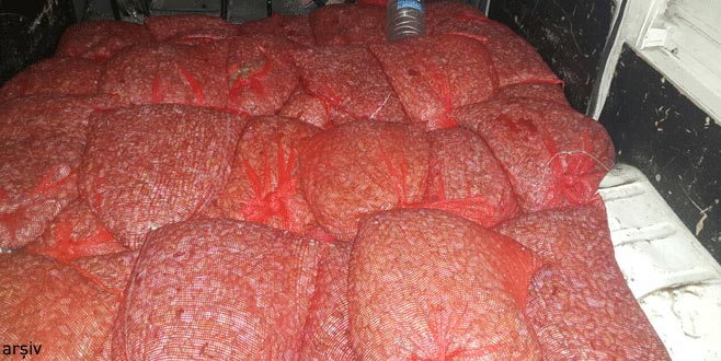 Bursa Jandarması’ndan operasyon: 2 ton ele geçirildi