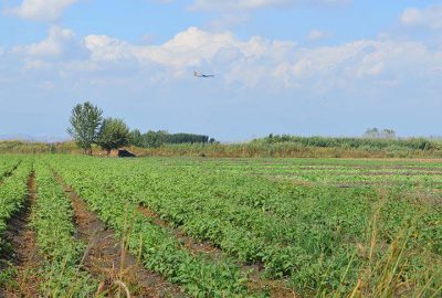Çiftçilerin Hazine arazilerini kiralayabilmesi için son fırsat