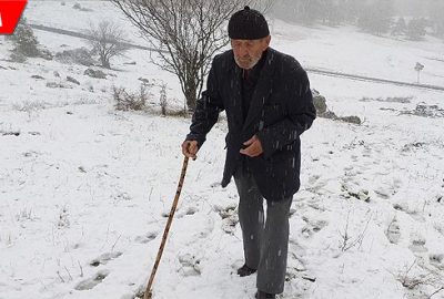 Doktorlar ayağa kalkamaz demişti! Şimdi gezip dolaşıyor