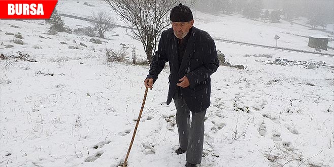 Doktorlar ayağa kalkamaz demişti! Şimdi gezip dolaşıyor