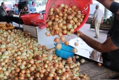 Maliye fiyatı ikiye katlanan soğanın peşinde