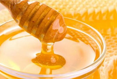 Devlet desteğiyle 60 ton bal üretiyor