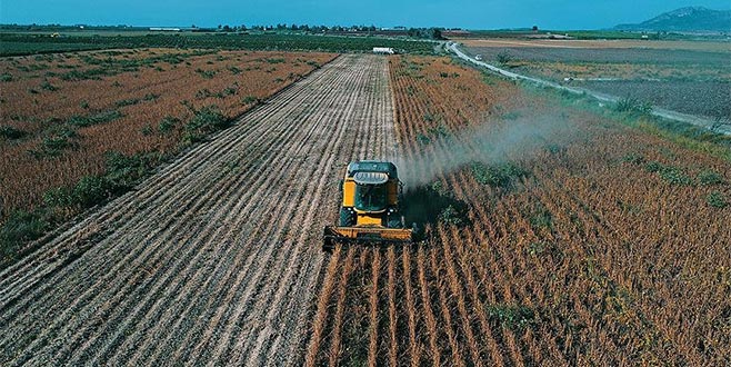 Bakan açıkladı: Çiftçiye destek müjdesi
