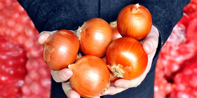 Soğan fiyatları ucuzladı