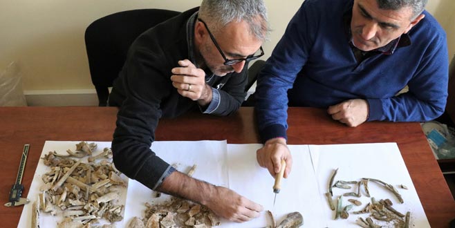 İskeletin sırrı Amerika’da çözüldü