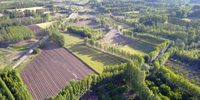 2B’de yarın son gün