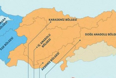 Türkiye’nin ‘besin alerjisi haritası’ çıkarıldı