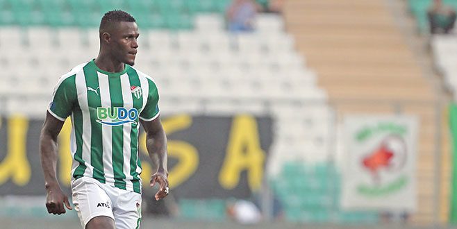 Çılgın Afrikalı Çılgın Afrikalı