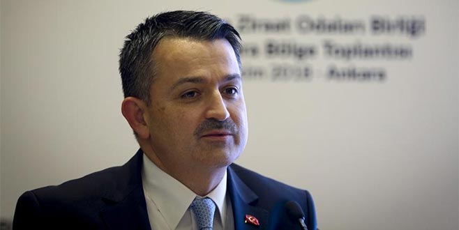 41 ile yüzde 50 hibe desteği