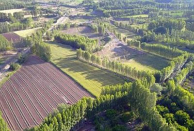 Hazine arazilerine 180 bin başvuru