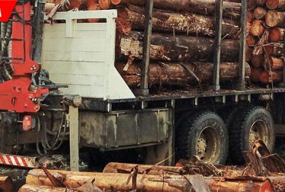 Kestiği tomrukların altında kaldı! Hayata 13 gün tutunabildi