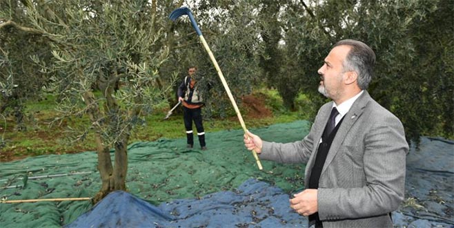 Aktaş’la hasat zamanı