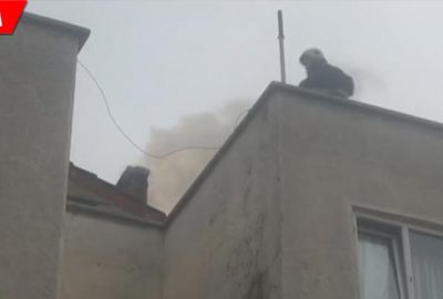 Korku dolu anlar! Yangın paniğe neden oldu