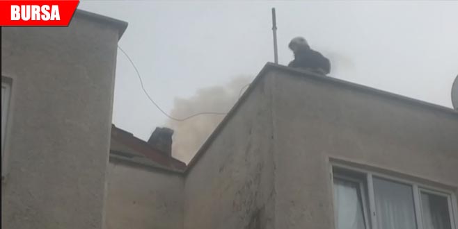 Korku dolu anlar! Yangın paniğe neden oldu Korku dolu anlar! Yangın paniğe neden oldu