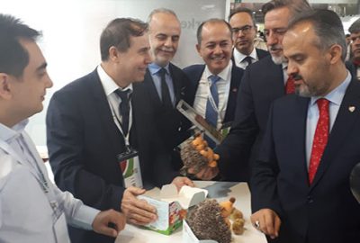 ‘Kirpiş’ maskotlu kestane şekeri