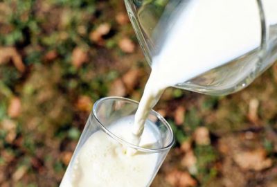 Süt Prim Desteği artırıldı