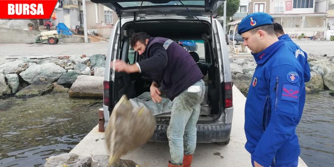 1,5 ton ele geçirildi! Çuvalların içinde…