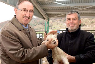 Hayvancılık sektörünün yüzü gülüyor
