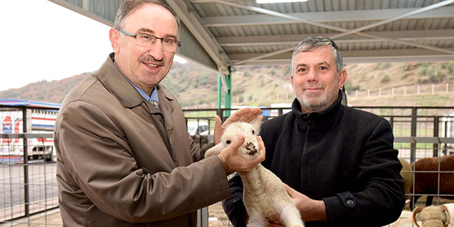 Hayvancılık sektörünün yüzü gülüyor