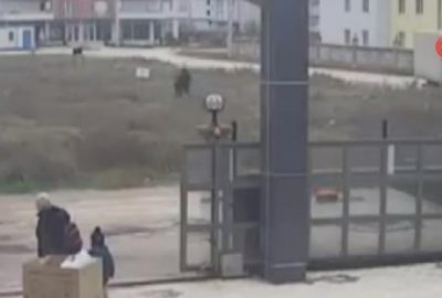 Bu ne öfke! Çocuğu tekme tokat dövdü