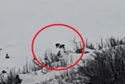 Uludağ’da kış uykusuna yatmayan ayılar görüntüledi