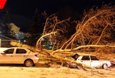 Fırtına yıktı geçti! Çatılar uçtu, ağaçlar devrildi