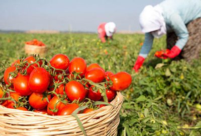 Rusya’dan sınırı tamamen kaldırmasını bekliyoruz
