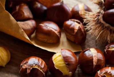 Türkiye’den 32 ülkeye kestane