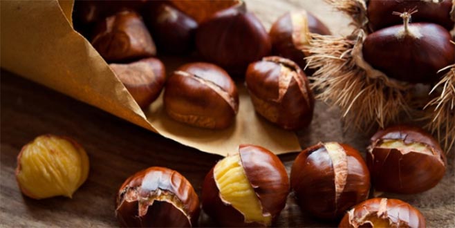 Türkiye’den 32 ülkeye kestane