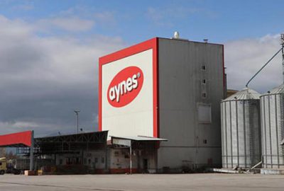 Aynes Gıda TMSF’ye emanet