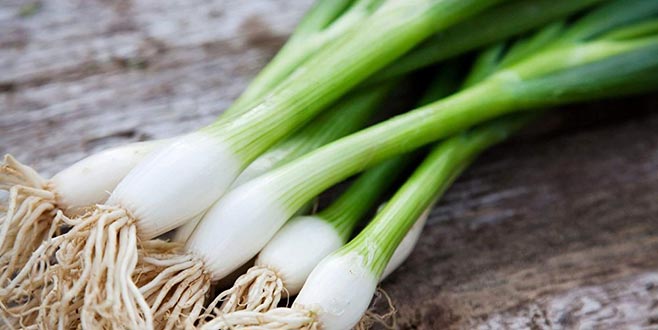 Yeşil soğanın tadı kaçtı