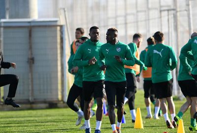 Timsah’ta tempo yüksek