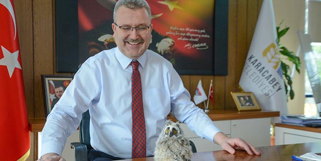 Yavru baykuş başkanın maskotu oldu