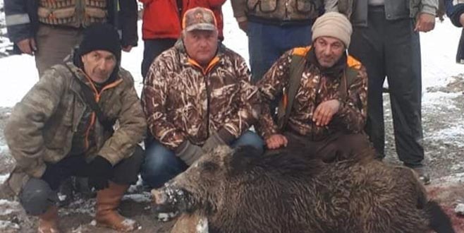 180 kiloluk domuz vurdular