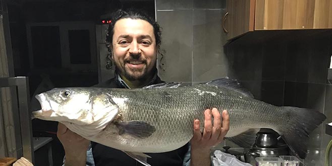 Oltayla dev levrek yakaladı Oltayla dev levrek yakaladı