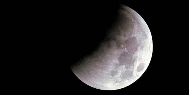 Ay’a gönderilen tohumlar filizlendi