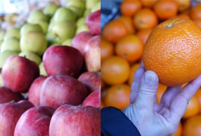 Elma ve portakalda rekor!