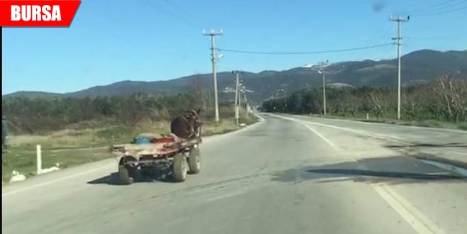 Ters yönde giden at arabası paniği