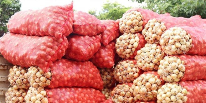 Azerbaycan’dan soğan gelecek! Fiyat düşebilir