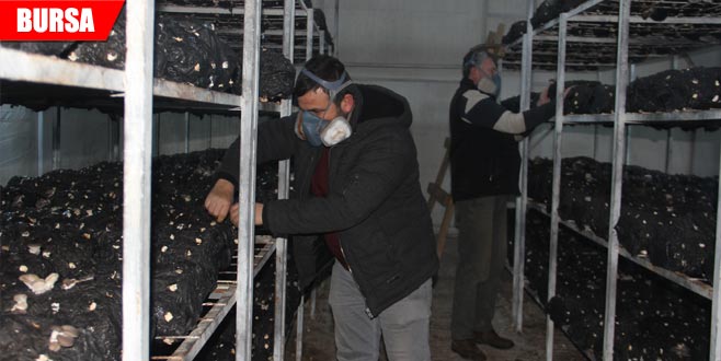 Pazarcıydı… Hibe desteğiyle hayatı değişti Pazarcıydı… Hibe desteğiyle hayatı değişti