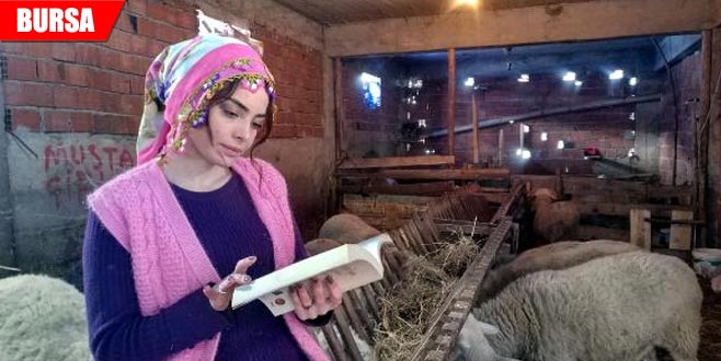 Dağın ardında bir başarı hikayesi Dağın ardında bir başarı hikayesi