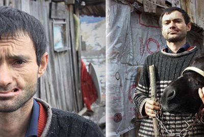 Sahibinin yanağını parçaladı! Buna rağmen dostlukları devam ediyor