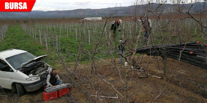Hem çalışıyorlar hem eğleniyorlar!