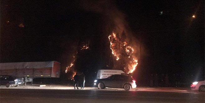 Kış ortasında orman yangını şoku