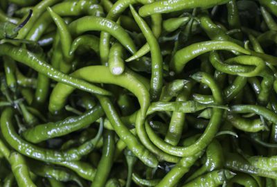 Ocakta en fazla sivri biberin fiyatı arttı