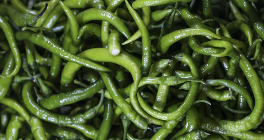 Ocakta en fazla sivri biberin fiyatı arttı İTO verilerine göre, geçen ay İstanbul'da perakende fiyatı en fazla