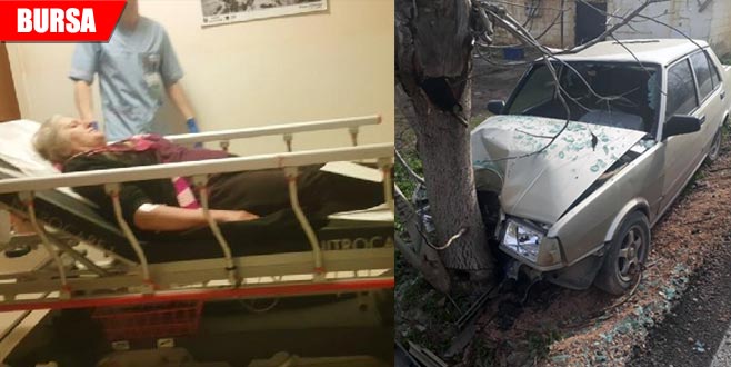 Otomobil ağaca çarptı: 3 yaralı Otomobil ağaca çarptı: 3 yaralı